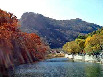 澳门二四六天天彩图库，论坛搜索